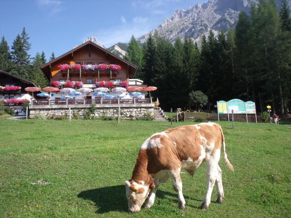 Gasthof Edelbrunn 호텔 람자우 암 다흐스타인 외부 사진